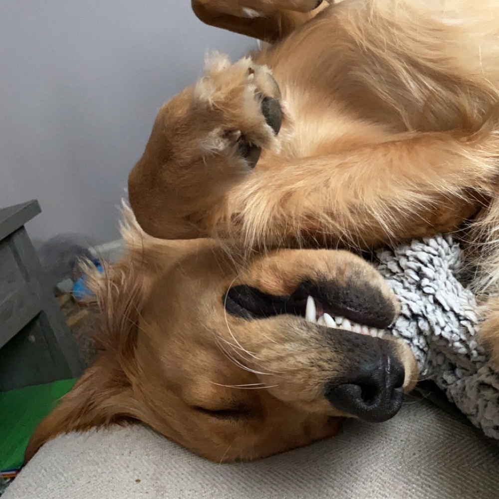 Meet your Posher, Kylie